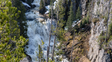 Yellowstone river