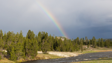 Yellowstone river