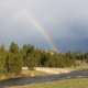 Yellowstone river